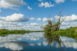 Bild_2015-54 Gülper Havel