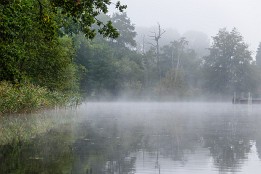 Bild_2015-62 Wechsel zur Elde in Dömitz - Morgennebel