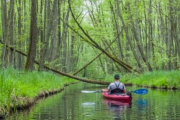 Bilder2016-16 Schwanenhavel