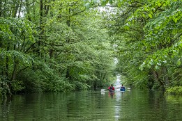 Bilder2017-80 Auf dem Kanal zwischen Leppinsee und Woterfitzsee.