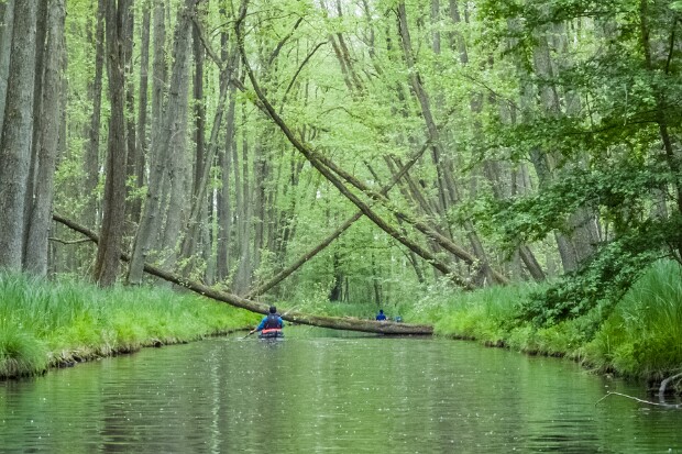 2015 Mecklenburger Kleinseen