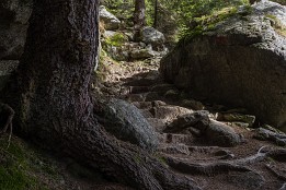 Meran_Okt_2018-18 Meraner Höhenweg