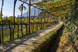 Meran_Okt_2018-5 Algunder Waalweg