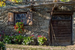 Meran_Okt_2018-6 Im Weinberg