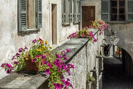 Schweiz2016-23 Farbtupfer