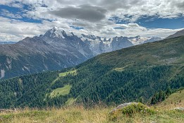 Vinschgau-16 Ortler-Blick