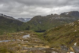Lofotenreise-146 Wie Tundra: viel Wasser, Flechten, Moore