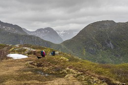 Lofotenreise-148 Rückweg - leider im Regen.