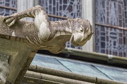 Lofotenreise-161 Der sieht eigentlich ganz nett aus.