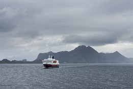 Lofotenreise-39 Begegnung früh am Morgen.