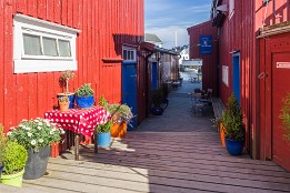 Lofotenreise-79 Besuch in Henningsvær. Hier gibt es auch eine Galerie mit historischen Gemälden von Dahl und Berg.