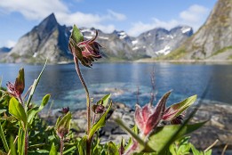 Lofotenreise-98 Der Blick mal etwas anders: bei Hamnøya.