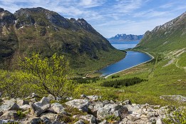 Lofotenreise-116 Bergtour auf den Glomtinden. Den Fahrweg rechts bin ich hochgelaufen.