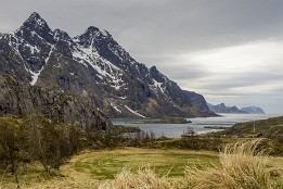 Lofoten_2019-38 Blick in den Steinfjorden bei Suapstad
