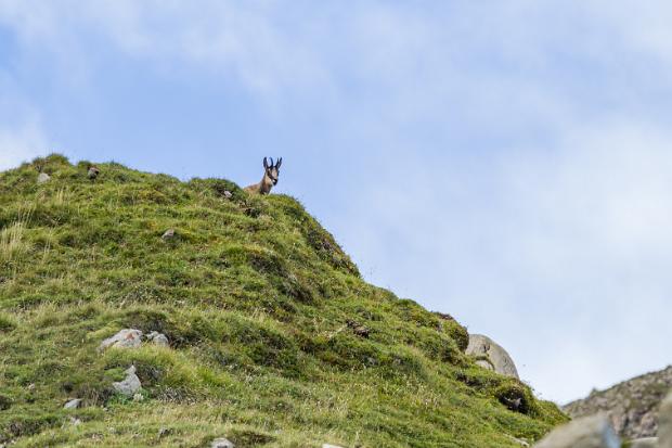 Alpsteingebirge Sep. 2023