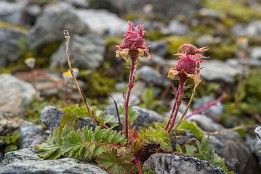 Schweiz_Jun_Aug_2023-17 Schönheit