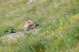 Schweiz_Jun_Aug_2023-6 Familienbande