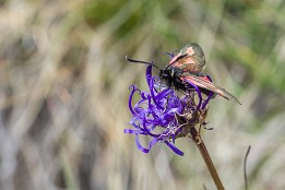 Schweiz_Jun_Aug_2023-8 Besucher