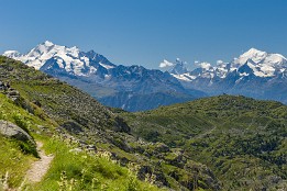 Schweiz_2017_V6-12 Blick zum Matterhorn