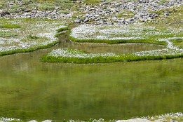 Schweiz_2017_V6-7 Merjelensee - ein Ausschnitt