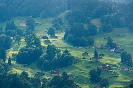 Schweiz_2017_V6-13 Berghang bei Grindelwald