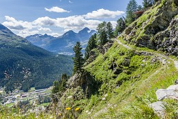Schweiz2016-68 Oberhalb Pontresina gibt es diesen wunderbaren Höhenweg von Languard-Alpe Richtung Unterer Schafberg.
