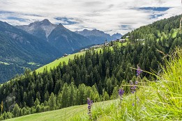 Schweiz_2017-55 Blick zurück auf Tschlin.