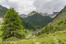 Schweiz_2017-29 Abstieg zur Alp Valamla