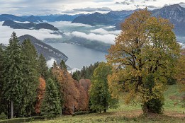 Schweiz_Okt_2019-2 Die Wolken lösen sich auf und geben den Blick auf den Vierwaldstätter See frei.