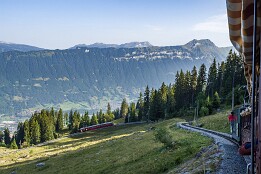 Schweiz_Aug2025-14 Zahnradbahn zur Schynigen Platte