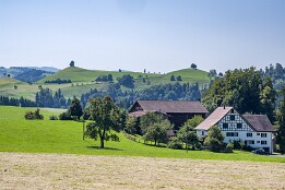 Schweiz_Aug2025-1 Hirzel