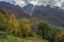 Tessin-26 Herbstlicht