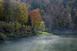 Tessin-29 Herbsfarben am Lago di Palagnedra