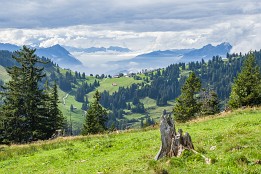 Blick Richtung Rigi First
