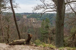Blick zur Helfenburg