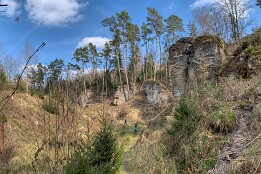 Weg von Dřevčice zur Gründelmühle