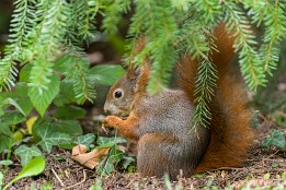 Bild_2014-58 Unter Deckung.