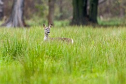 Bilder2017-155 Kontrollblick