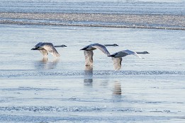 Website-57 Auf nach Hiddensee.