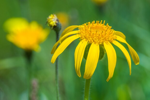 Schöne Erinnerungen
