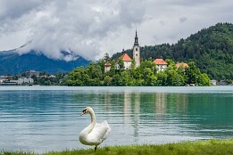 Sloweinien_2026-47 Insel mit Wallfahrtskirche Mariä Himmelfahrt