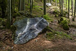 Sloweinien_2026-117 Waldstimmen..