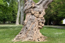 Sloweinien_2026-34 Im Stadtpark.
