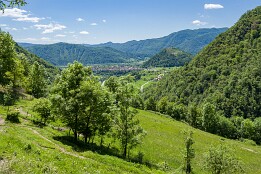 Sloweinien_2026-216 Blick nach Tomlin