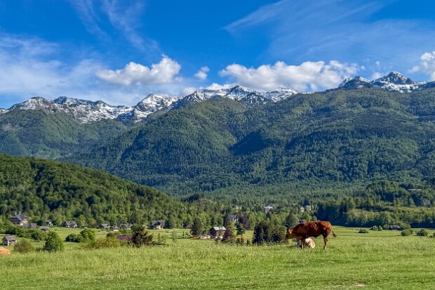 Triglav Triglav-Nationalpark